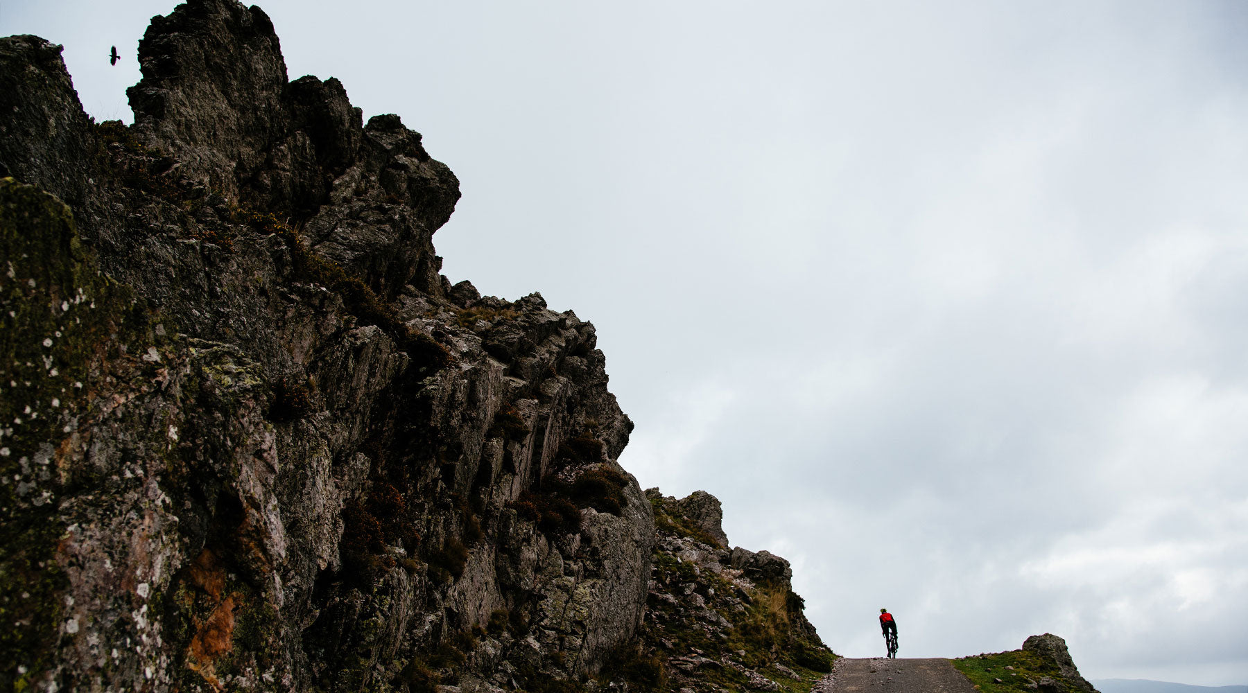 Why We Became Members of 1% for the Planet