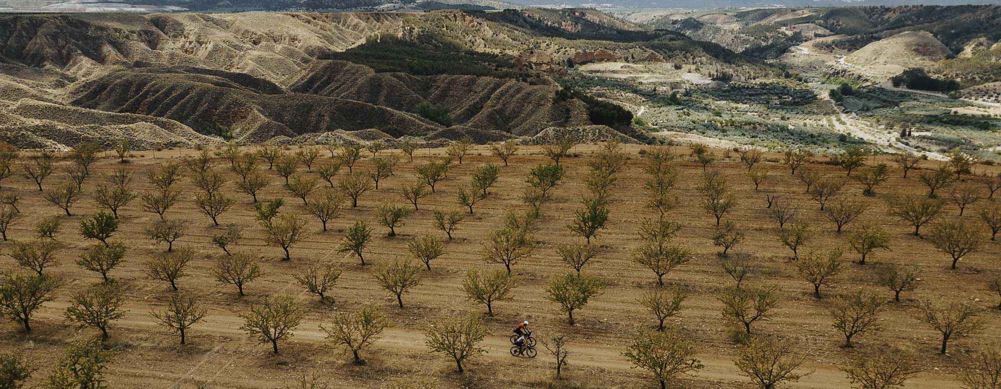 Recycled & Natural Fiber: A Better Way