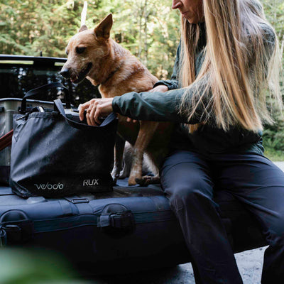 right promotion image