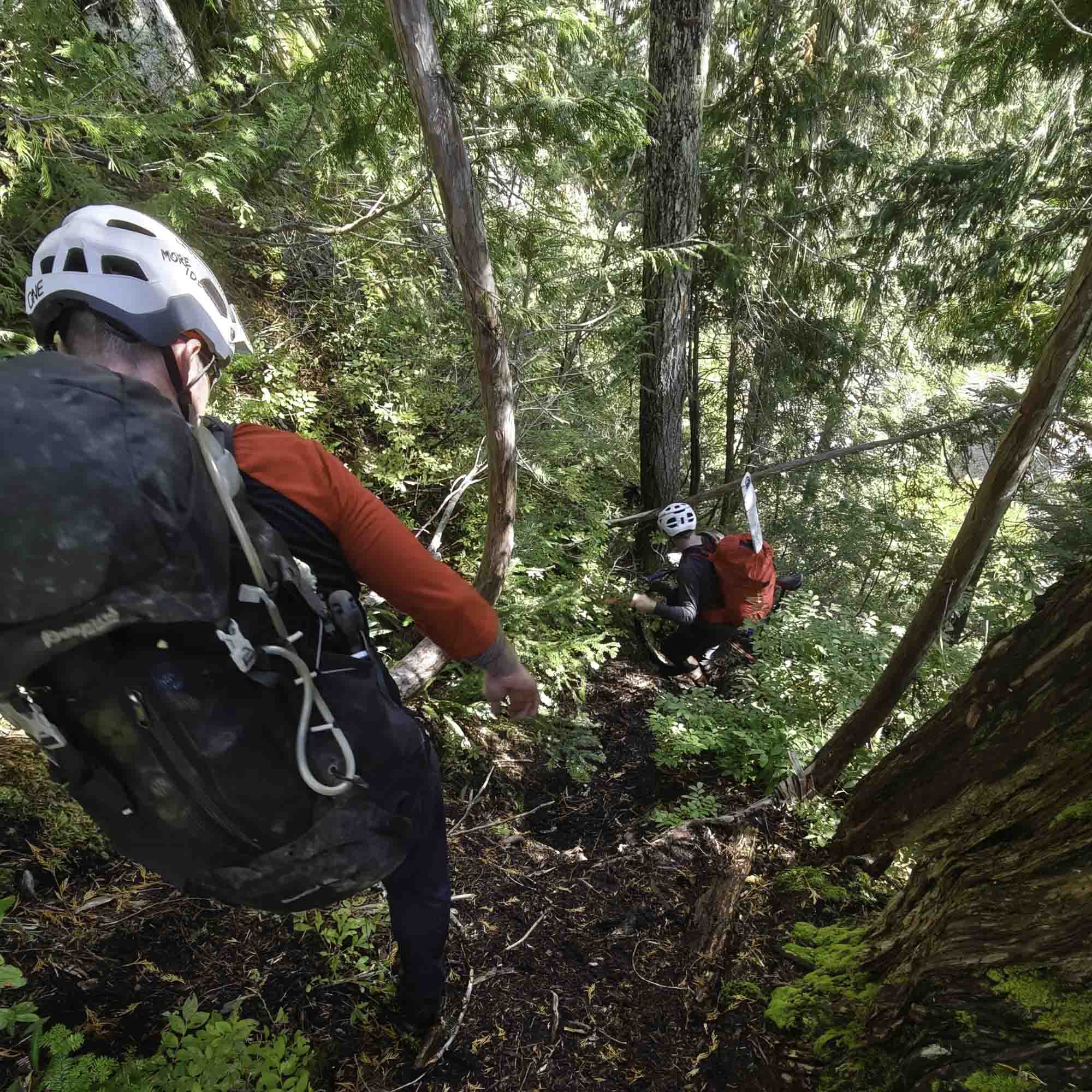 right promotion image