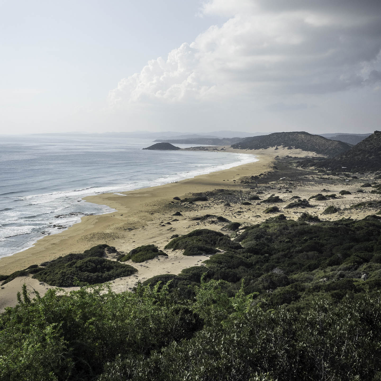 left promotion image