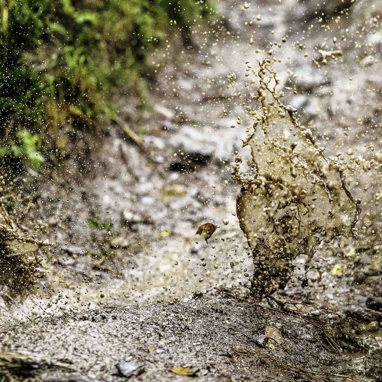 left promotion image